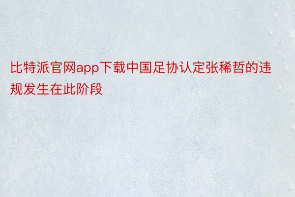 比特派官网app下载中国足协认定张稀哲的违规发生在此阶段